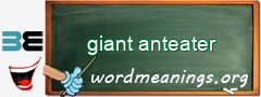 WordMeaning blackboard for giant anteater